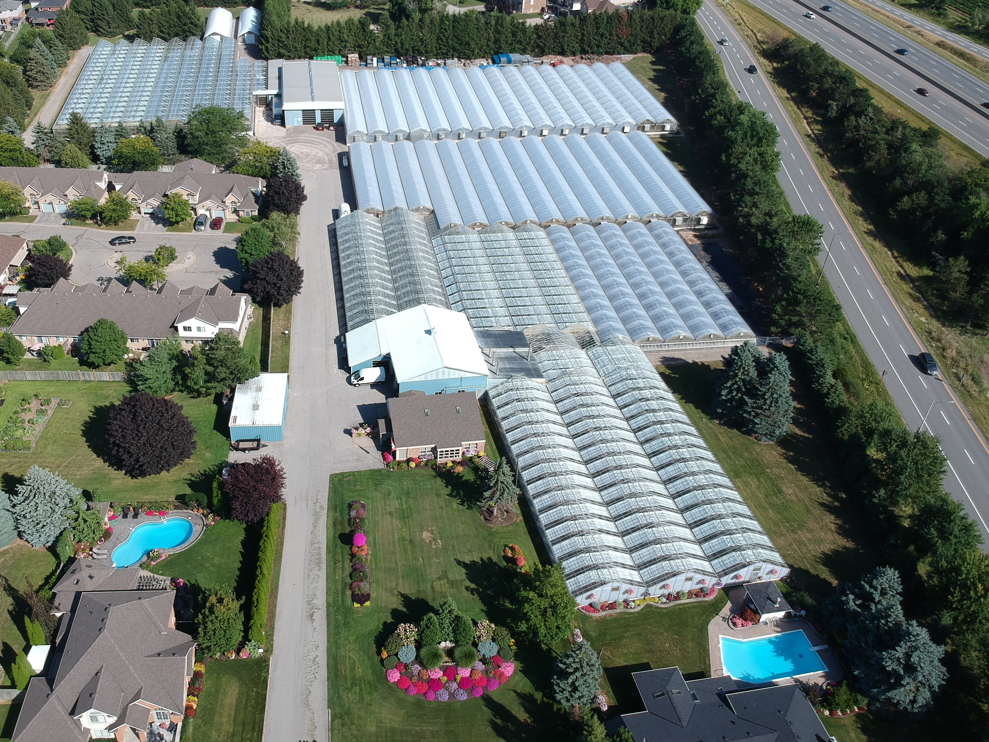Sobkowich Greenhouses, Growing Strong in Grimsby, ON