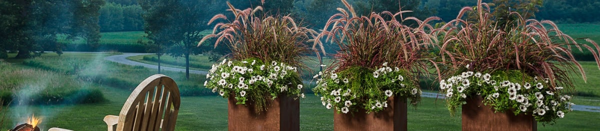 Proven Winners® Graceful Grasses® from Sobkowich Greenhouses