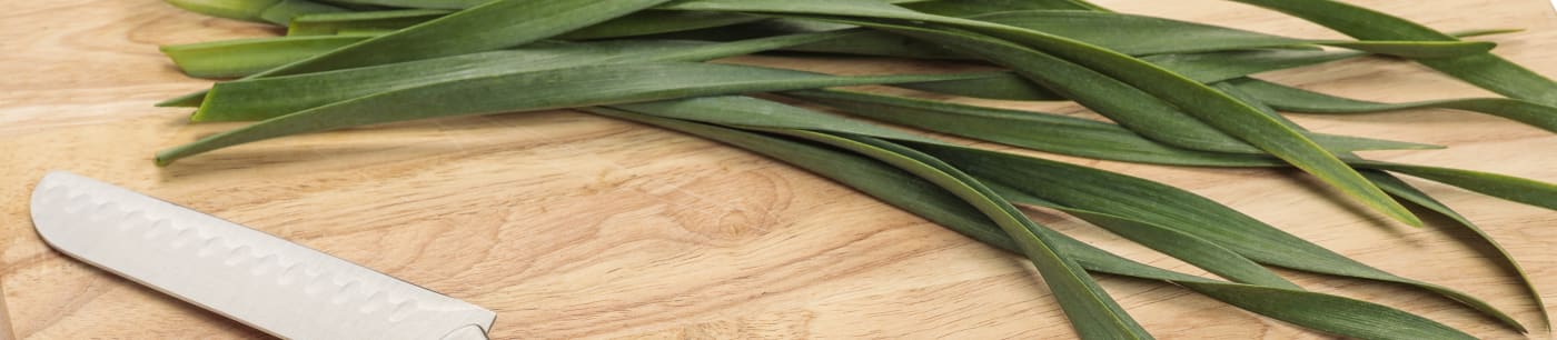 Proven Harvest® Allium AlliYum!™ from Sobkowich Greenhouses
